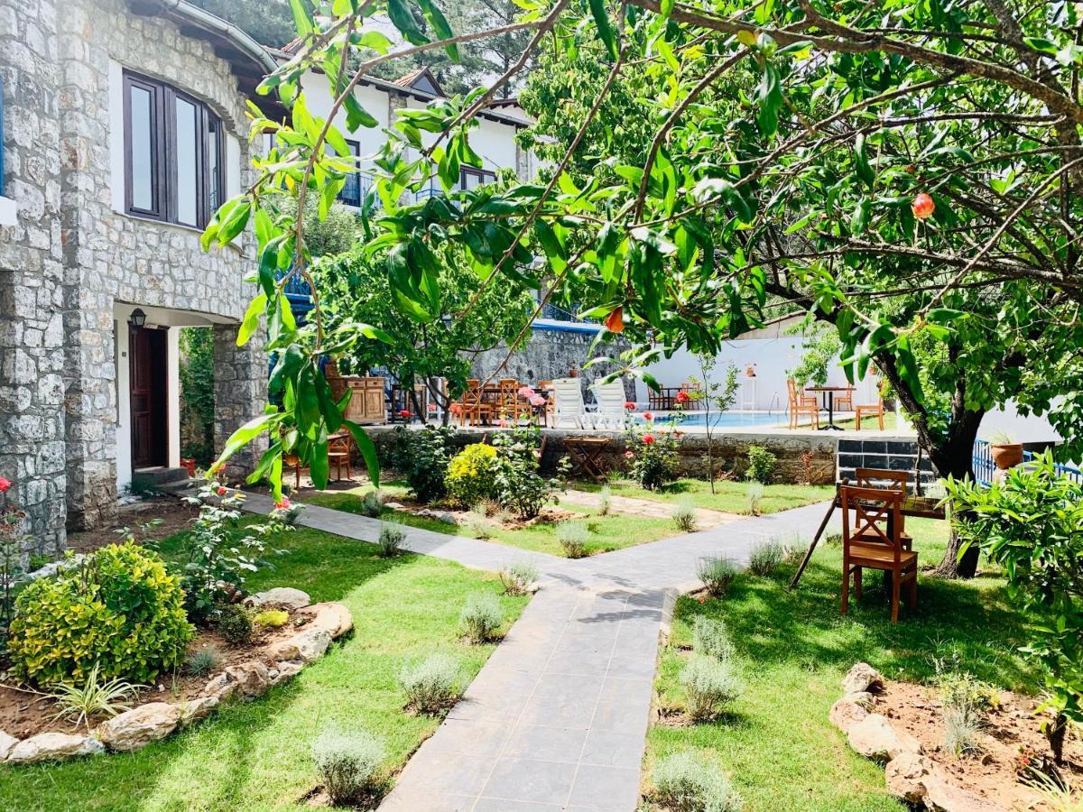 تورونشْ Alp Inn Villas المظهر الخارجي الصورة