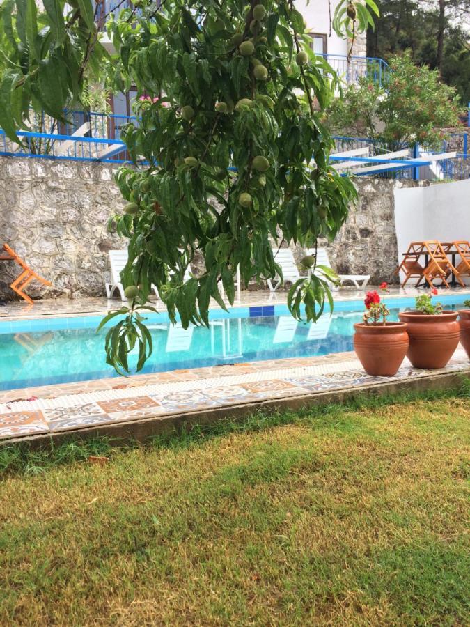تورونشْ Alp Inn Villas المظهر الخارجي الصورة
